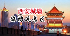 渴望大屌的熟女中国陕西-西安城墙旅游风景区